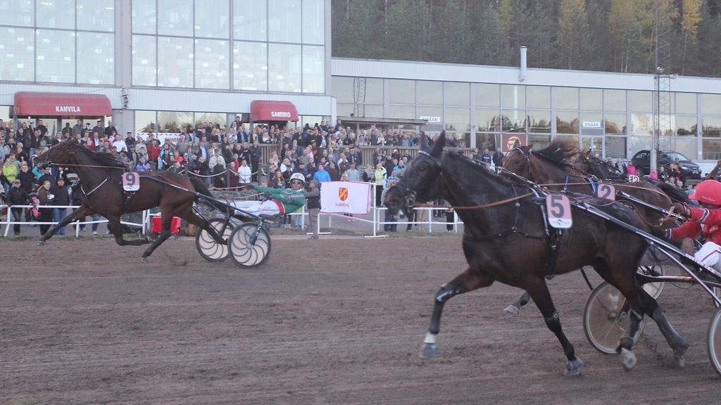 Arctic Passion ja Hannu Torvinen kirivät ulkoratoja pitkin ohi Elian Webin ja Kriteriumin voittoon 3.10.2015.