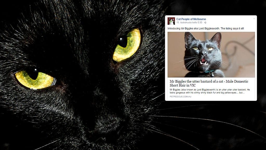 Kuvituskuva Shutterstock, toisen kuvan lähde Facebook.