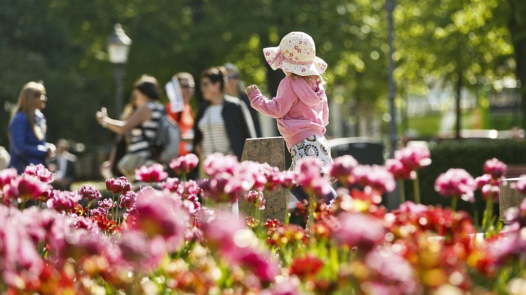 Ihmiset nauttivat lämpimästä kevätsäästä Esplanadin puistossa Helsingissä maanantaina. Huomenna päästään etelässä vielä 20 asteen tuntumaan. Muualla on viileämpää.
