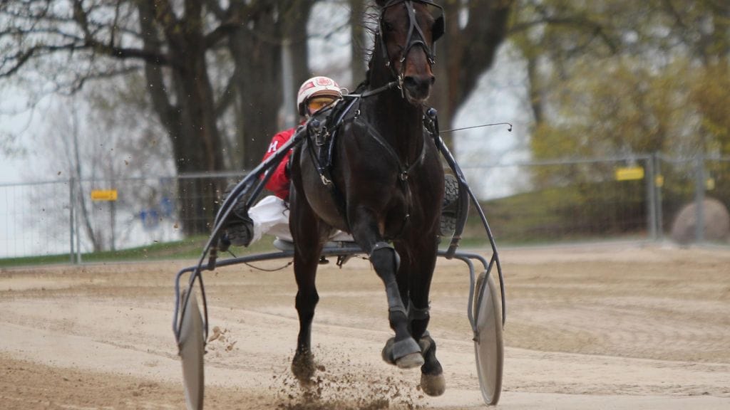 Jani Hautaviita ja Fly Icon ottivat tuntumaa Kaivopuiston halkovaan ravisuoraan torstaina.