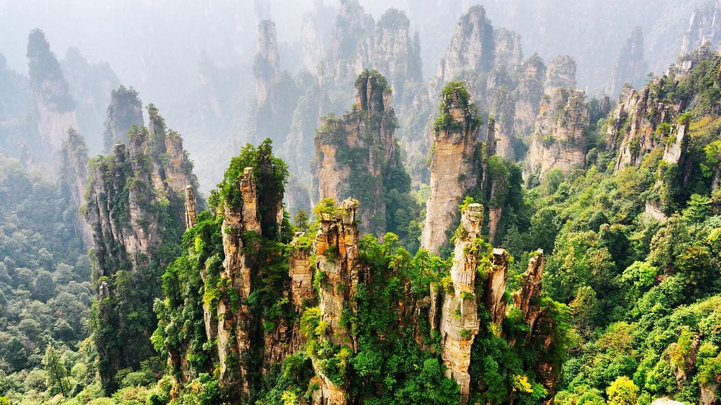 shutterstock_393226150 (1)