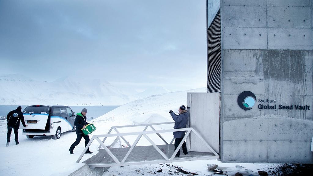 tuomiopäivän holvi siemenpankki siemenholvi