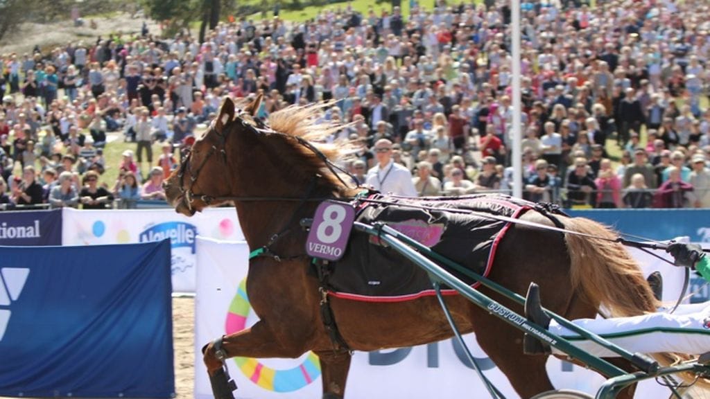 Hevoset Kaivarissa -tapahtuman Cityraveja oli kerääntynyt katsomaan runsaspäinen yleisö.