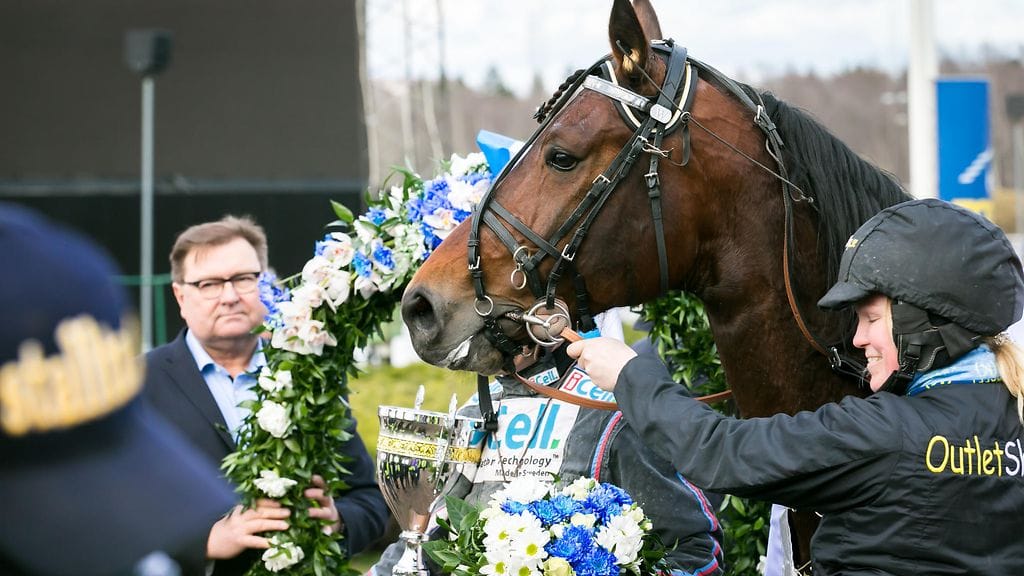 D.D.'s Hitman Finlandia-ajon seremonioissa.