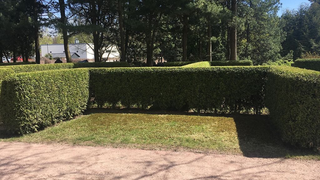 Koiviston hautapaikka