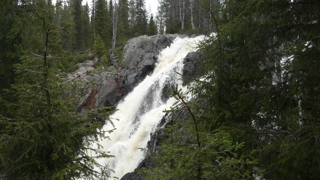 Fiellun putous TEKIJÄNOIKEUDET LAINEELLA  (2)
