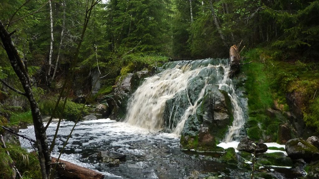 Jylhänkoski - OIKEUDET LAINEELLA