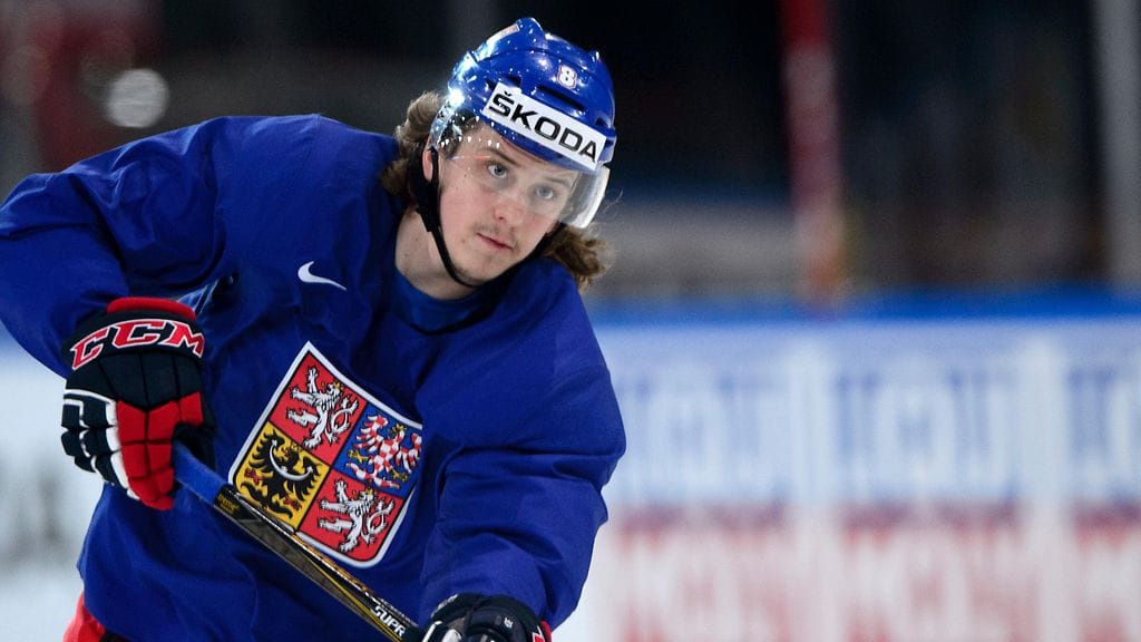 Libor Sulak edusti maataan kevään MM-kisoissa.