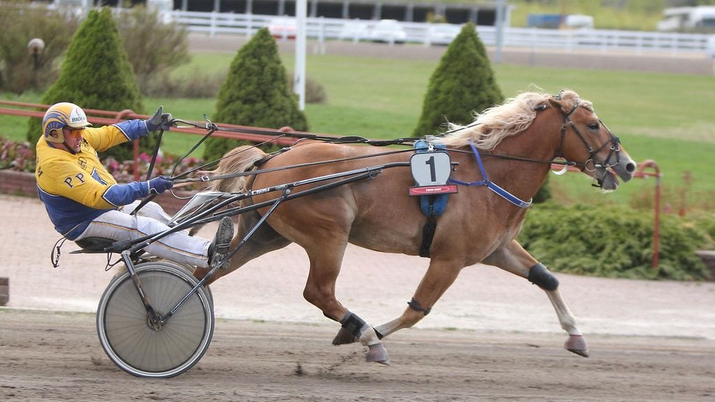 Pertti Puikkosen ohjastama Rokin Maxi piti vahvaa vauhtia.