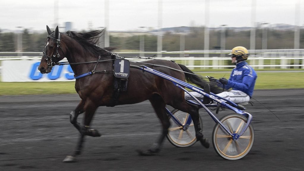 Björn Goop ja Sauveur (arkistokuva).