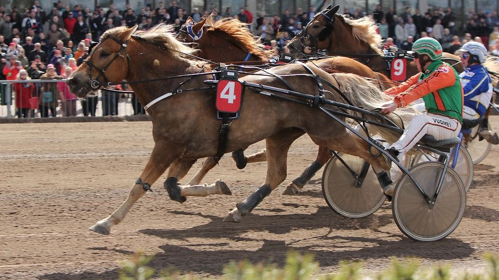 Polara ja Antti Tupamäki