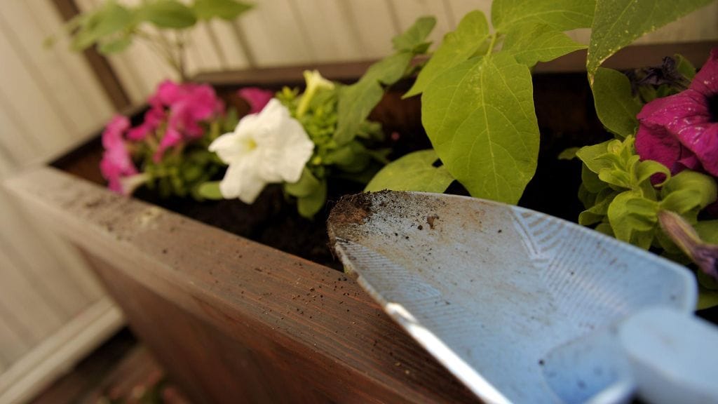 Parveke voi tarjota loistavat puitteet niin hyötykasveille kuin monivuotisillekin kukille.