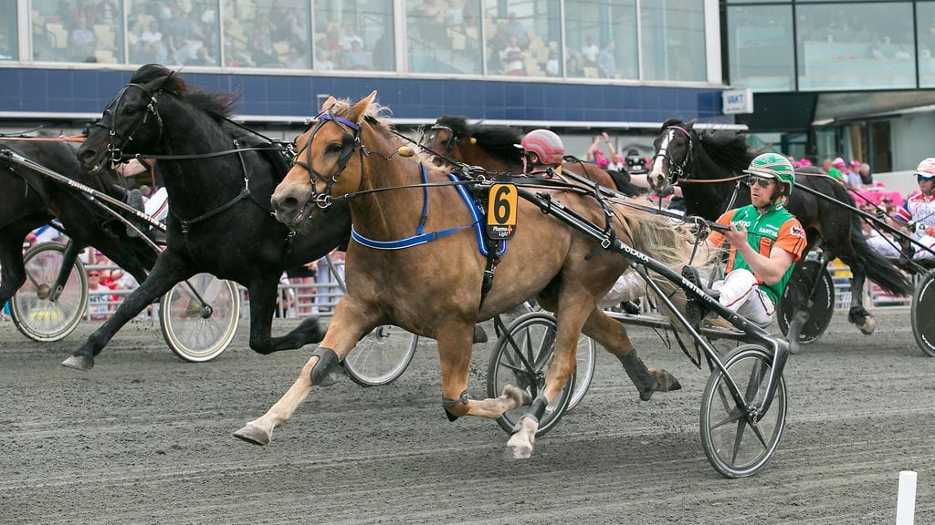 Polara pesi ruotsalaiset ja norjalaiset Solvallan Elitkampenissa. Miten käy Bjerkessä?