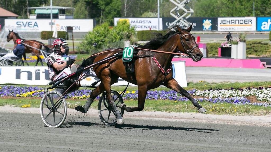 Mika Forss edustaa Suomea raviohjastajien MM-kilpailussa.
