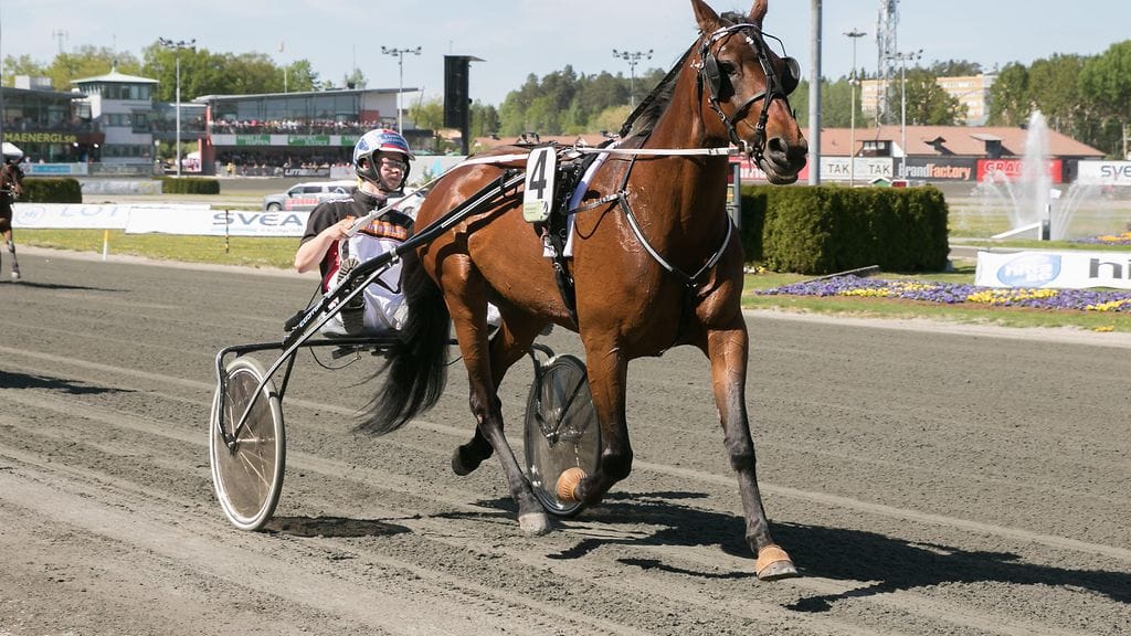 Ranch Kelly starttaa Mikkelin Tammatähti-mailille takarivistä.