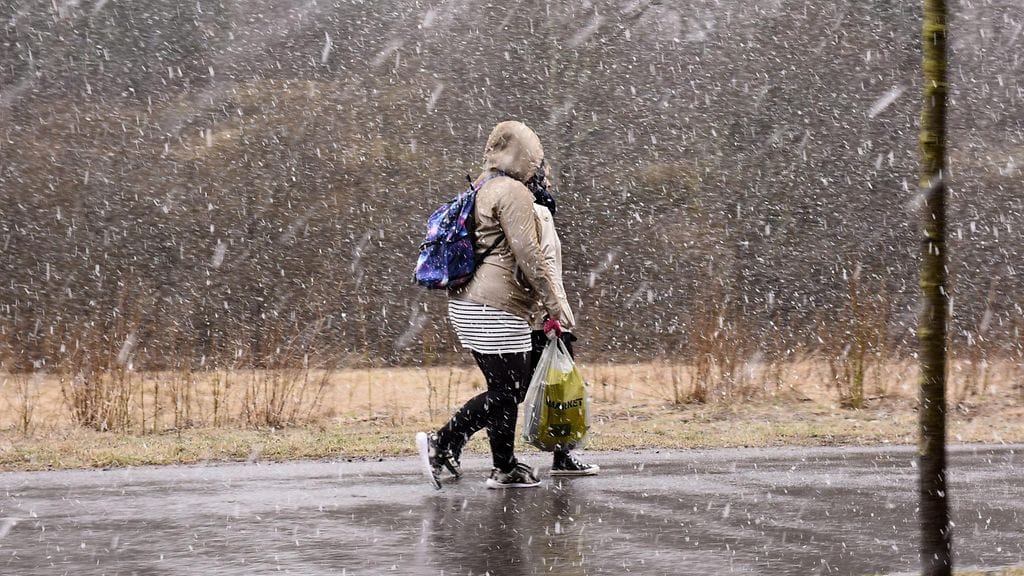 Kevät on myöhässä eikä sen tuloa pystytä vielä ennustamaan. Meteorologisen perimätiedon mukaan kevät tulee kuitenkin aikanaan.
