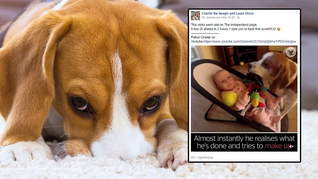 Kuvituskuva Shutterstock, toisen kuvan lähde Facebook.