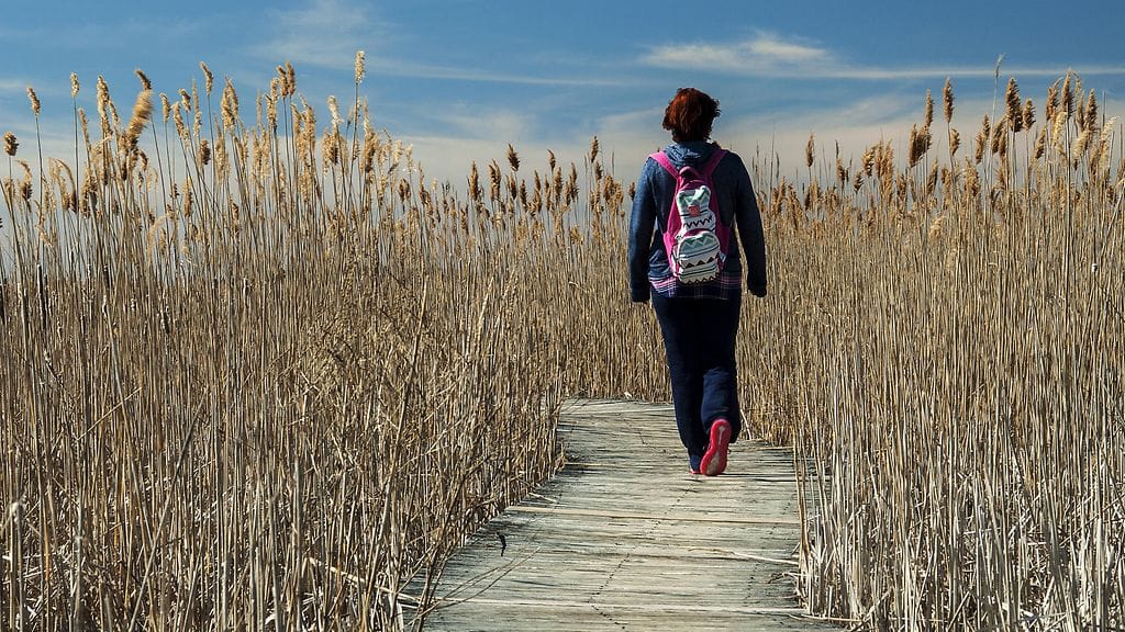 Päivittäisestä liikunnasta paljastui uusia hyötyjä.