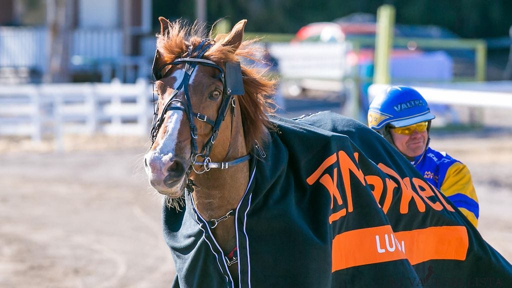 Puulan Tuuli ja Terho Rautiainen yllättivät pelikansan vappuna MIkkelissä perusteellisesti.