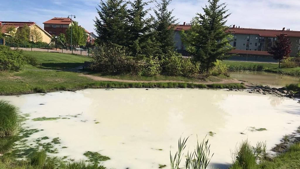 Mimma Huopalainen kuvasi värjäytyneen puron keskiviikkona.