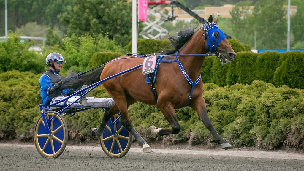 Elitloppetin jymy-yllättäjinä voittaneet Timoko ja Björn Goop saapuvat Kouvolan Kymi GP:hen suursuosikkeina.