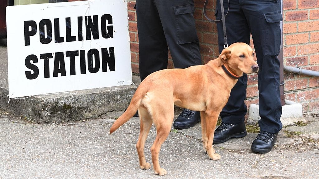 Poliisikoira vartioi äänestyspaikan ulkopuolella, kun pääministeri Theresa May kävi äänestämässä.