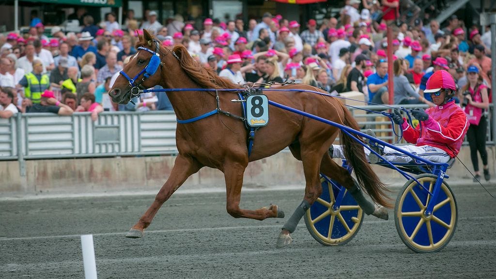 Dreammoko asettuu Kymi GP:ssä ensimmäistä kertaa isänsä Timokon kanssa saman siivekkeen taakse.