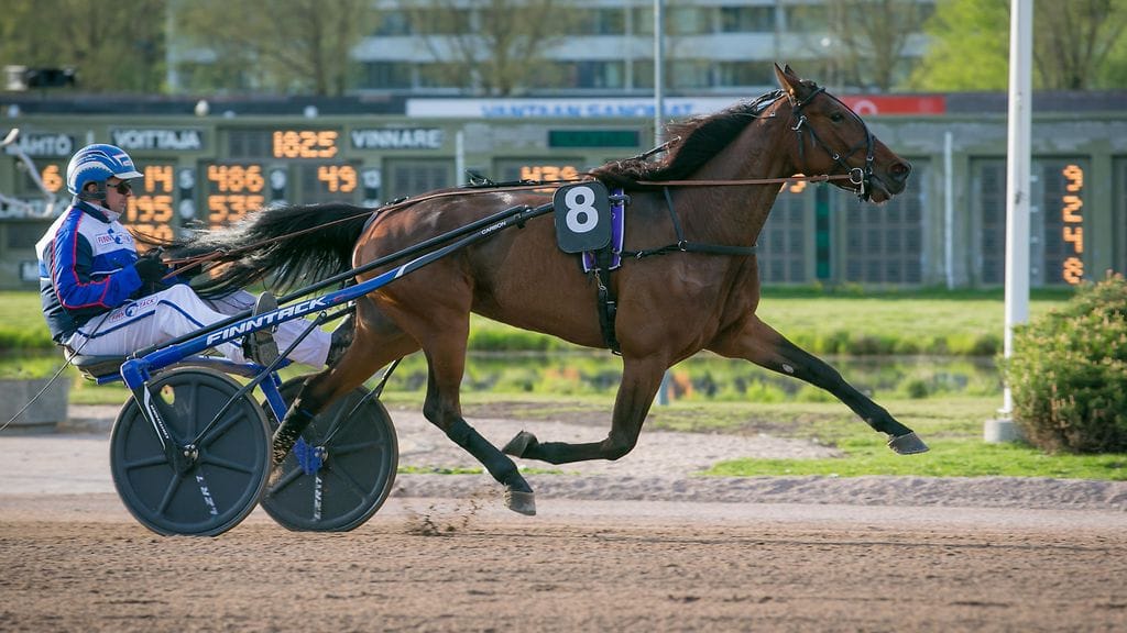 Hannu-Pekka Korpi ohjastaa itse kuvan Arctic Passionia Kaustisen Isla-ajossa.