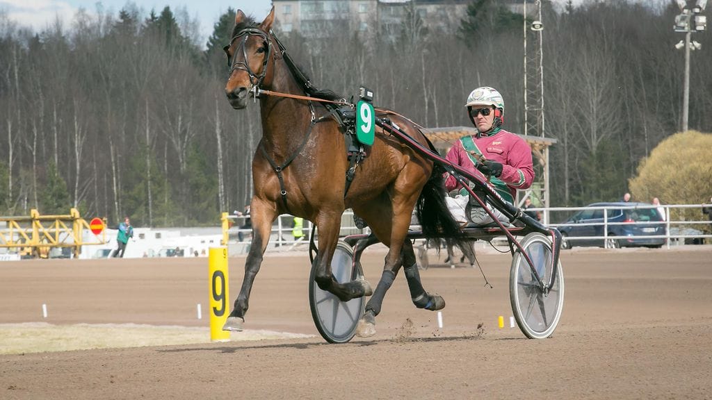 Juiceman on tehnyt pitkään mainioita esityksiä ja on kohonnut ensimmäisen Toto65-kohteen jättisuosikiksi. C Moren vihjerivissä se kuitenkin varmistetaan Black Dunnockilla.