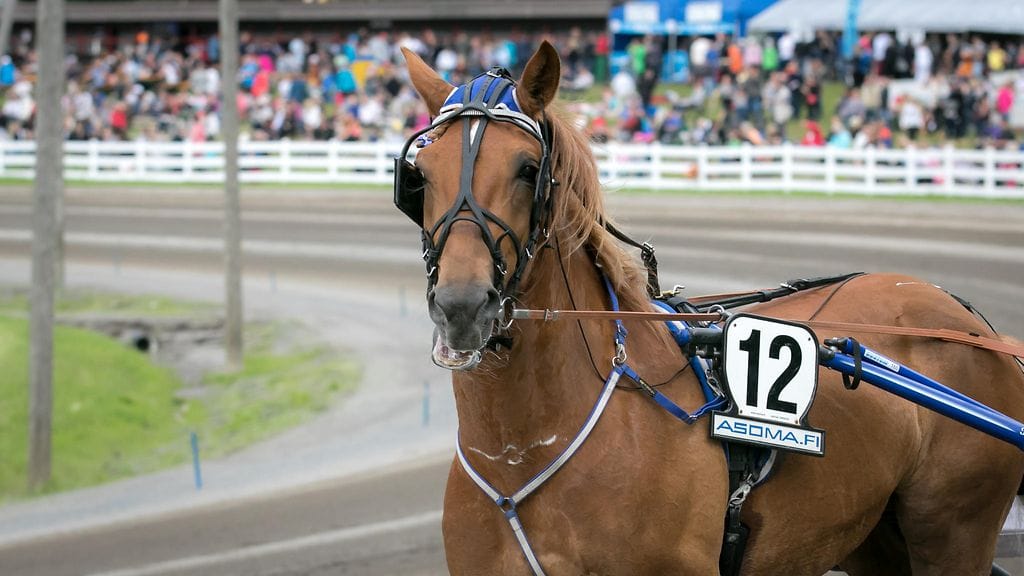 Pyörylän Paroni starttaa mailin pyrähdykselle radalta viisi.