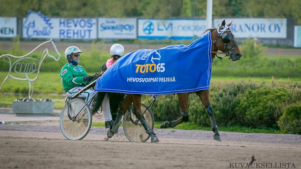Spade Ace Frido lähtee Derbyn Kesäsuosikkiin kolmen Vermon voiton putki alla. Ari Moilanen jatkaa rattailla.