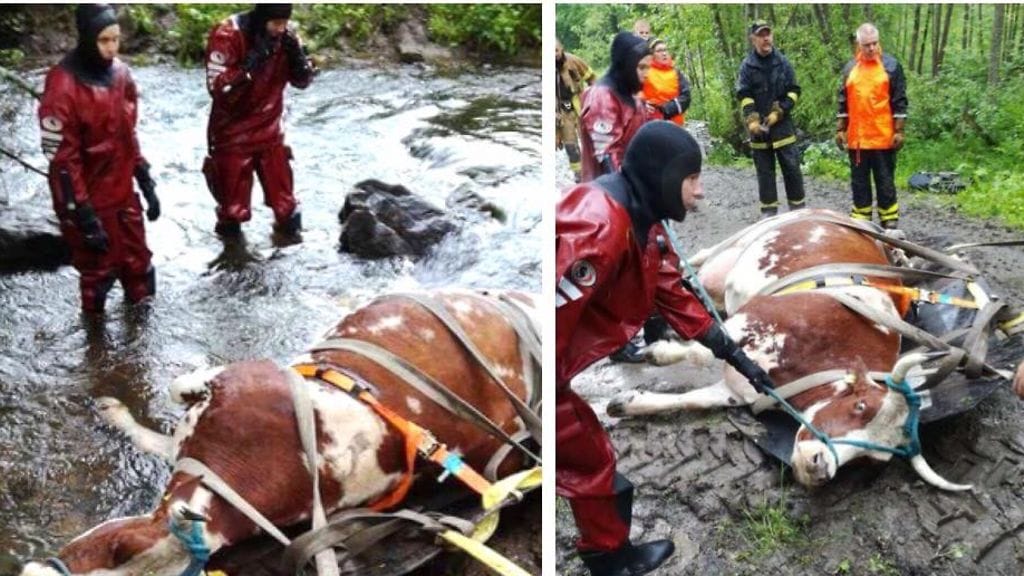 Kuva: Paloniemen VPK.