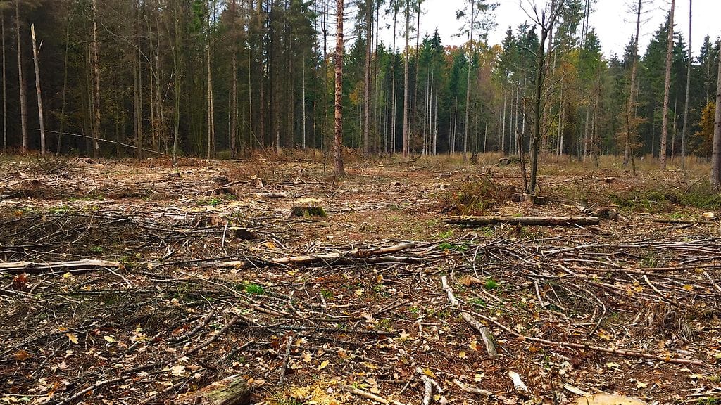 Unescomettääeioo - Kuvaajan nimi mainittava