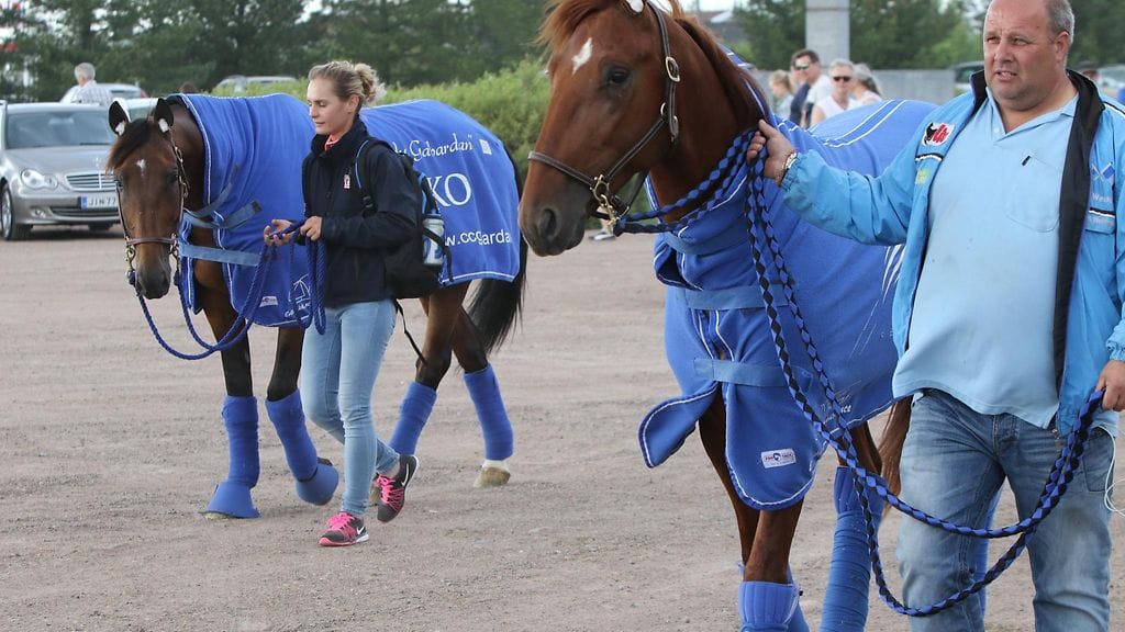 Isä Timoko (vas.) ja poika Dreammoko kohtaavat Kymi Grand Prix'ssä. Timokon hoitaja on Angelique Beaufils ja Dreammokon Erwin Ganzinotti.