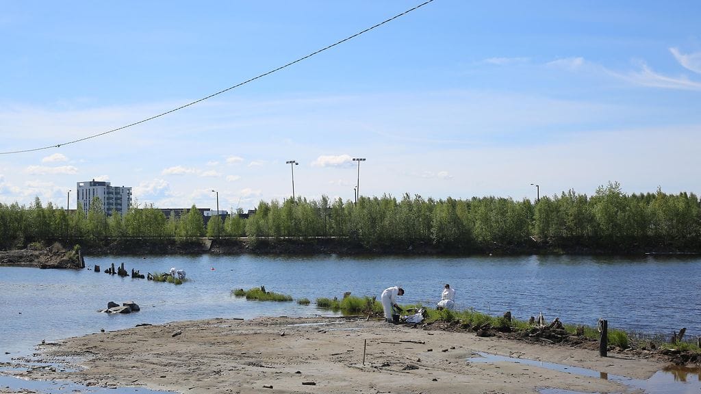 WWF:n öljyntorjuntajoukot avustavat viranomaisia Oulun Energian Toppilan voimalaitoksella tapahtuneen öljyvuodon jälkien puhdistamisessa.