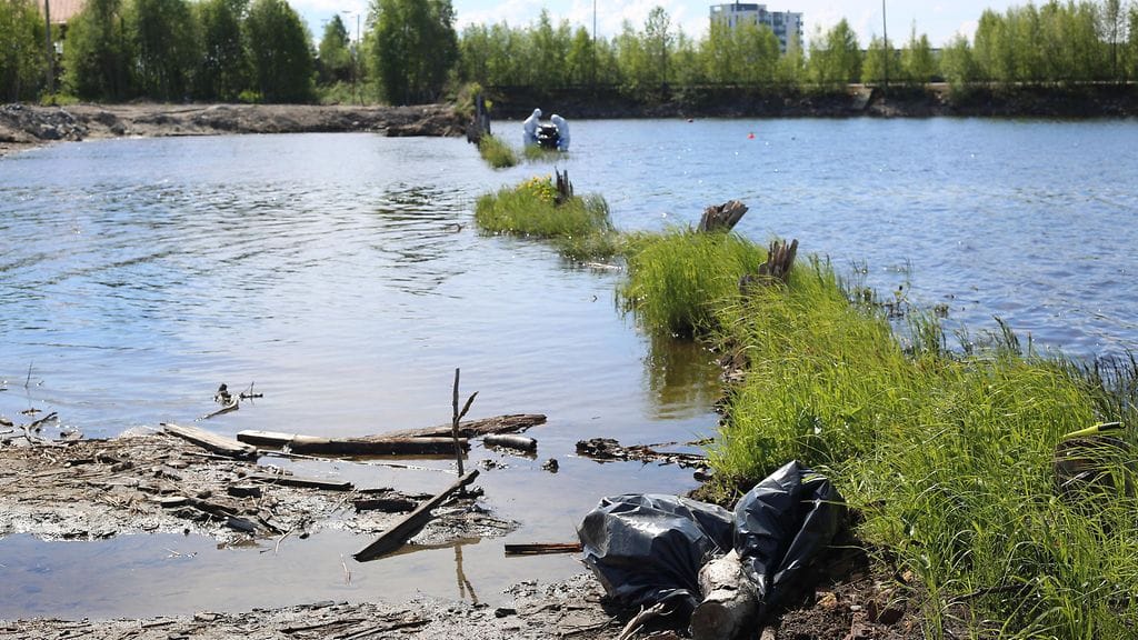 WWF:n öljyntorjuntajoukot avustavat viranomaisia Oulun Energian Toppilan voimalaitoksella tapahtuneen öljyvuodon jälkien puhdistamisessa.