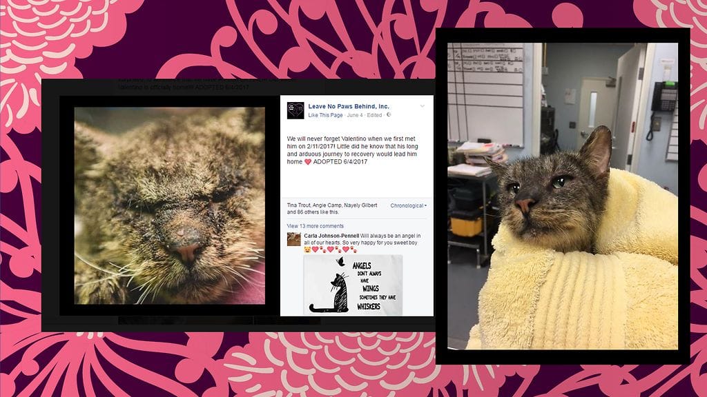 Kuvituskuva, toisten kuvien lähde Facebook