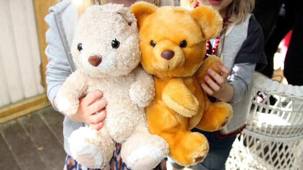 Heinähattu ja Vilttitossu2