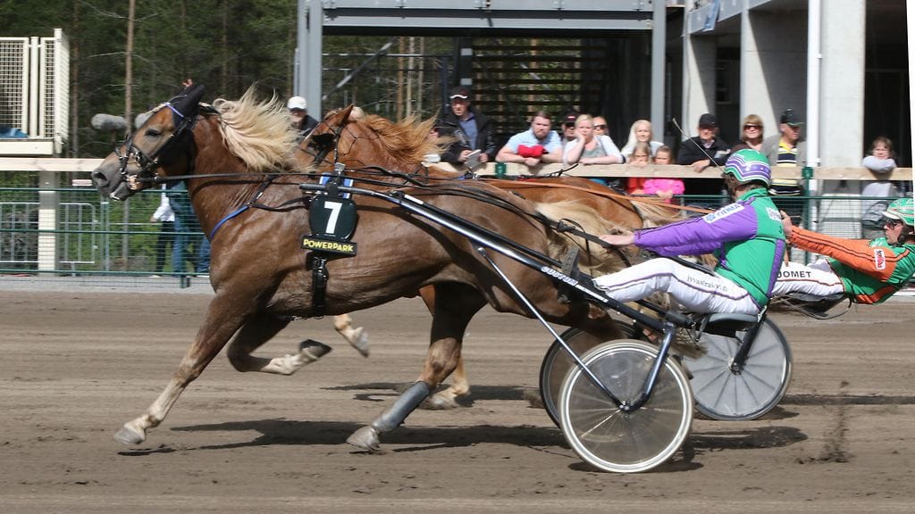 Risto Tupamäen ajama Costello piti Antti Tupamäen Välkyn Tuiskun niukasti takanaan Nordic King karsinnoissa.