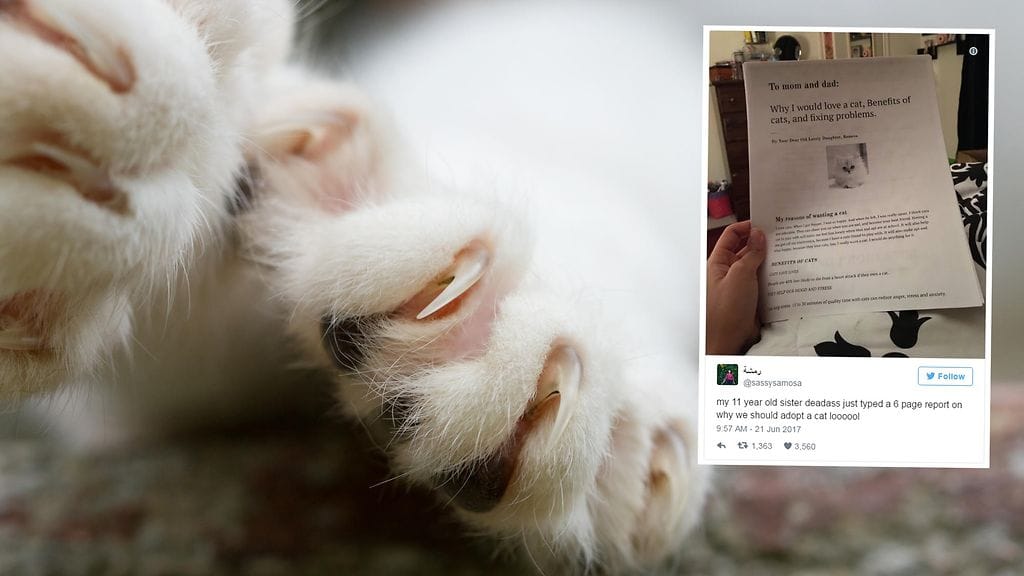 Tytön perusteellisesta yrityksestä saada perheeseen lemmikki kannattaa ottaa mallia.