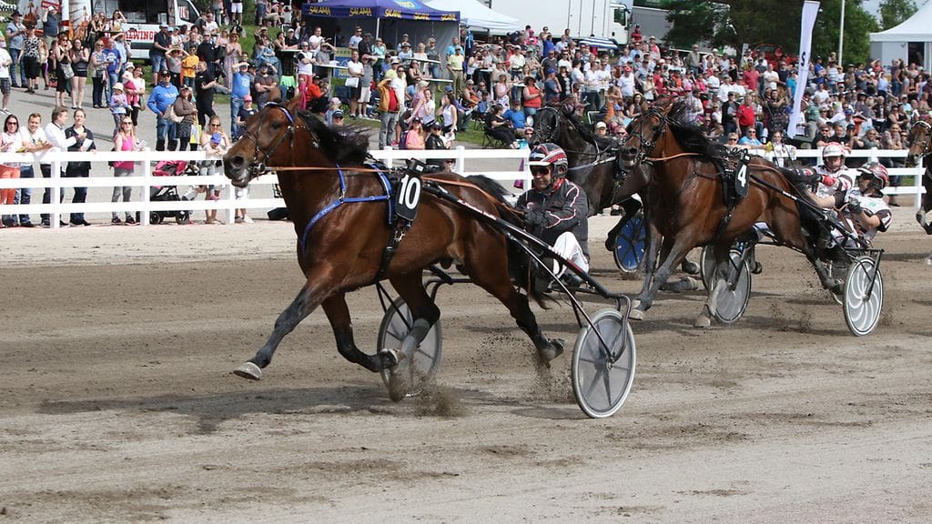 Still Loving You tavoittelee finaalipaikkaa toisessa Suurmestaruus-karsinnassa.