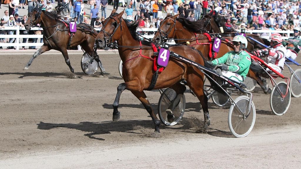 Willow Pride ravasi finaaliin (arkistokuva)