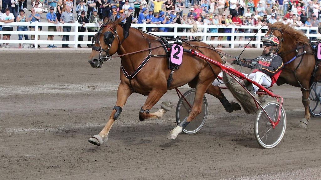 Tähen Toivomus vei keulapaikalta kylmäveristen Suur-Hollola-ajon nimiinsä.