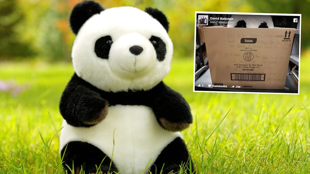 Pehmoleluun ihastuneen pojan toive  saatiin toteutettua avuliaiden ihmisten ansiosta.