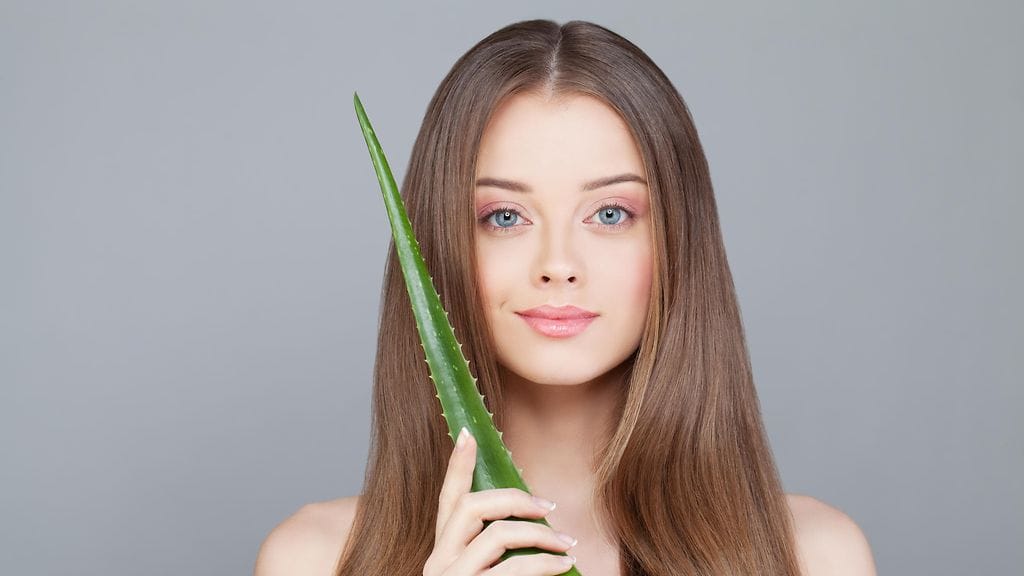 Aloe veraksi luullun kasvin puraisu johti sairaalareissuun.