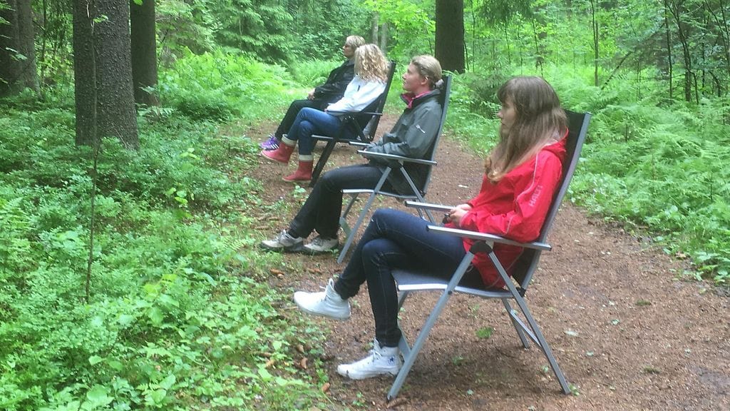 Metsä, metsät, tutkimus