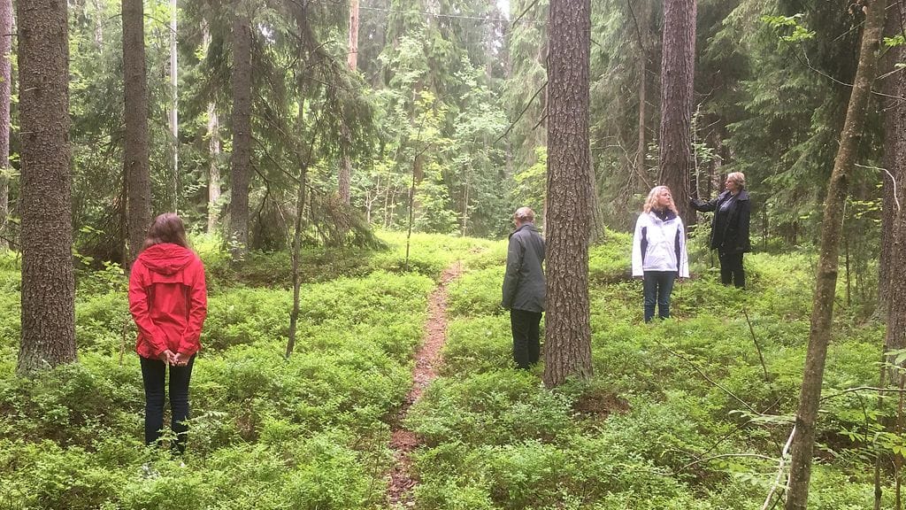 Metsä, metsät, tutkimus, luonto