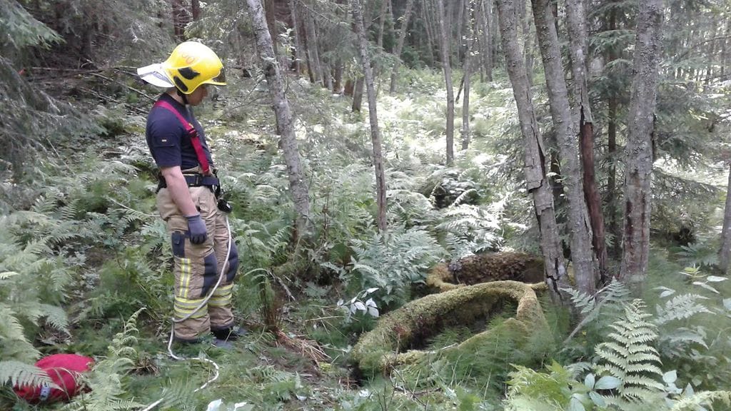 Vanha kaivo 3.7.2017