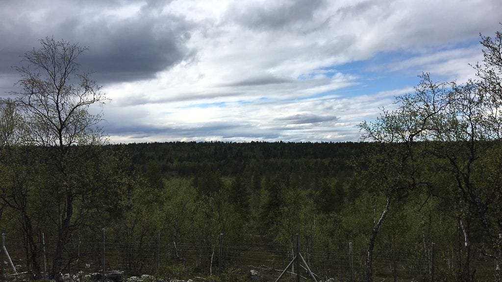 Antti Hanhivaara kadonneet