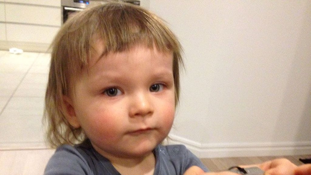 Otso kuoli äkillisesti puolitoistavuotiaana. Kuolinsyy ei selvinnyt koskaan. Kuva: Salla Suneli.